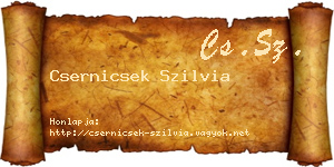 Csernicsek Szilvia névjegykártya